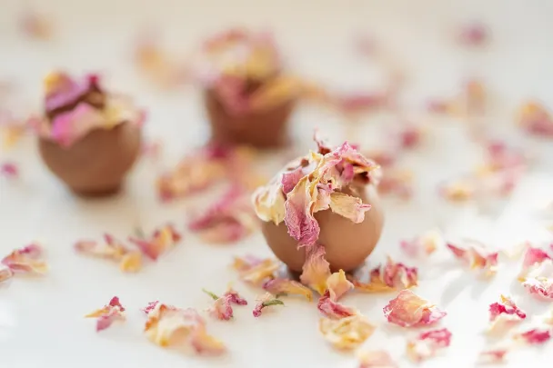 카지노 제너레이션 브이아이피 안드로이드/iOS 앱